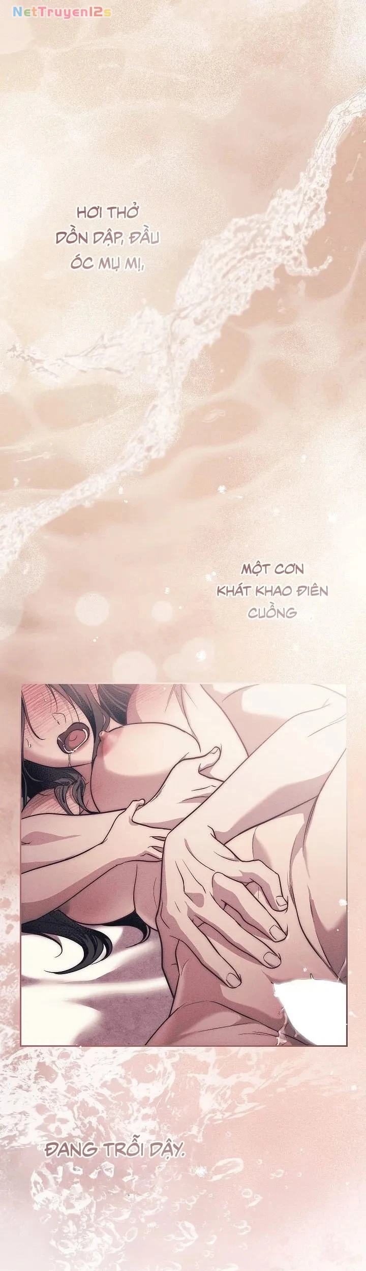 Mộ Thiên Nga Chapter 27 - 17