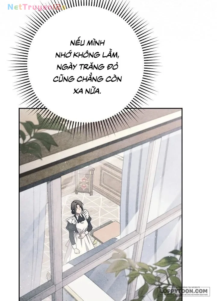 Mộ Thiên Nga Chapter 27 - 46
