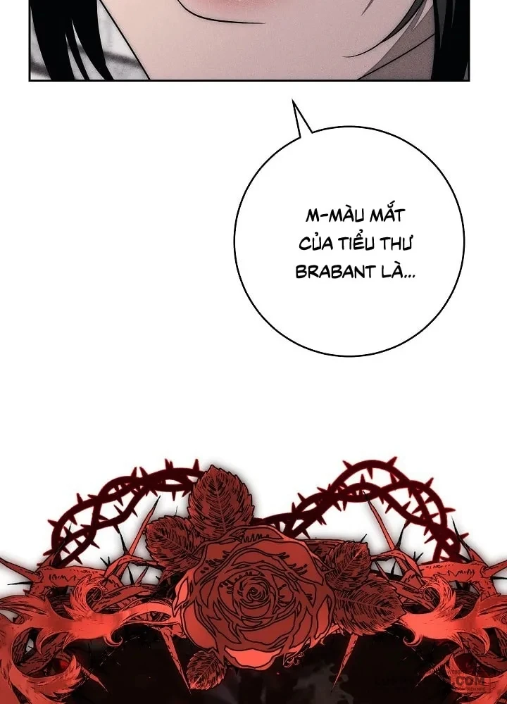 Mộ Thiên Nga Chapter 29 - 49
