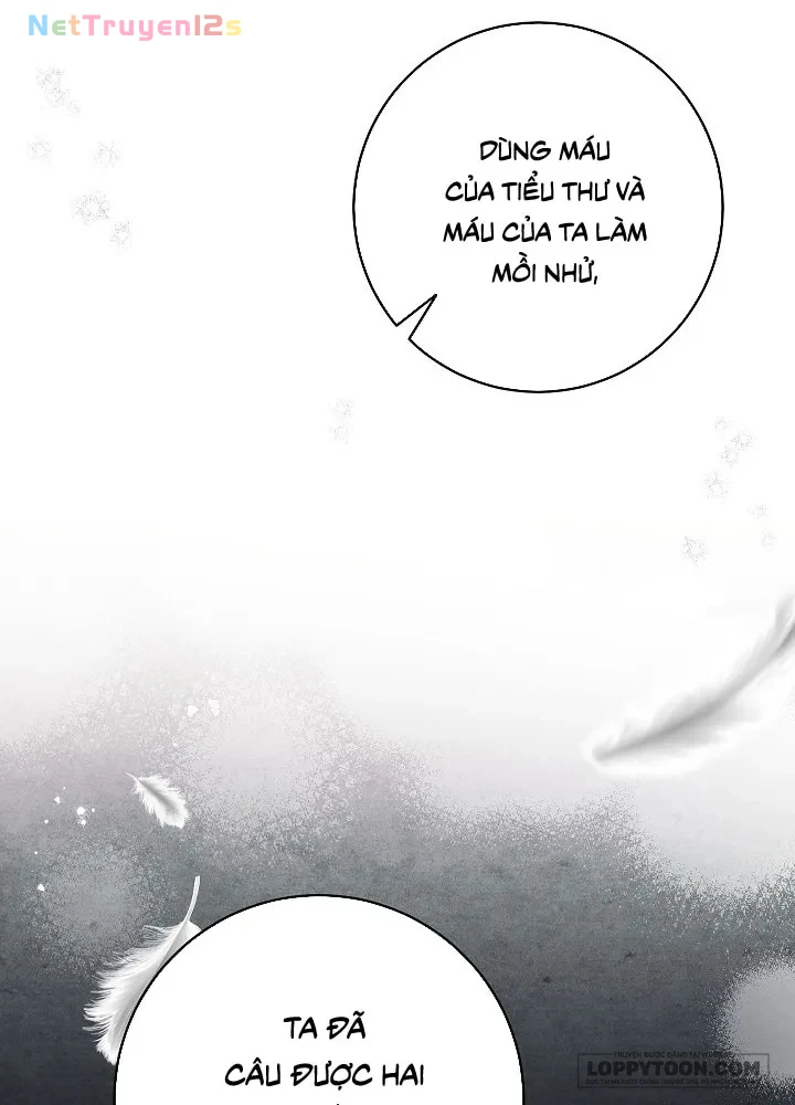 Mộ Thiên Nga Chapter 31 - 29