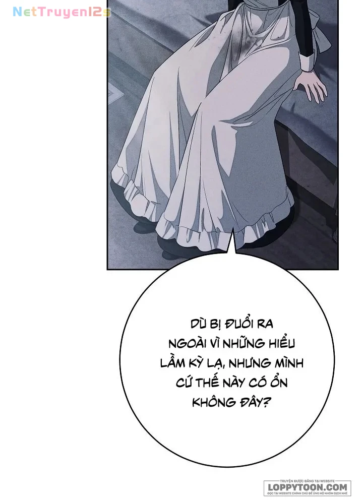Mộ Thiên Nga Chapter 31 - 43