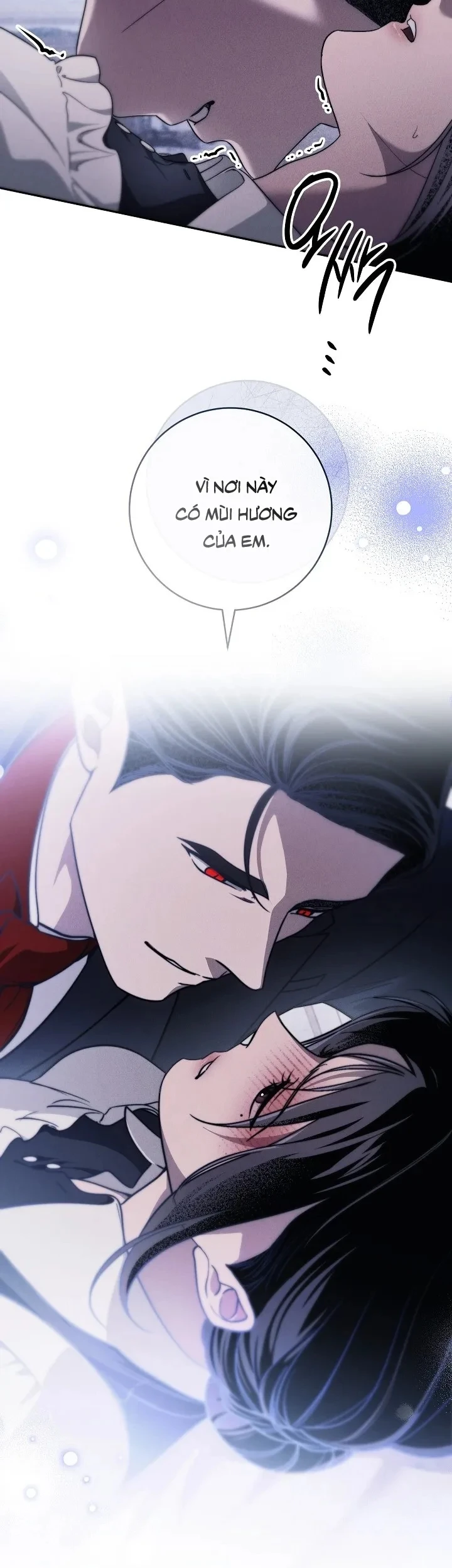 Mộ Thiên Nga Chapter 32 - 17