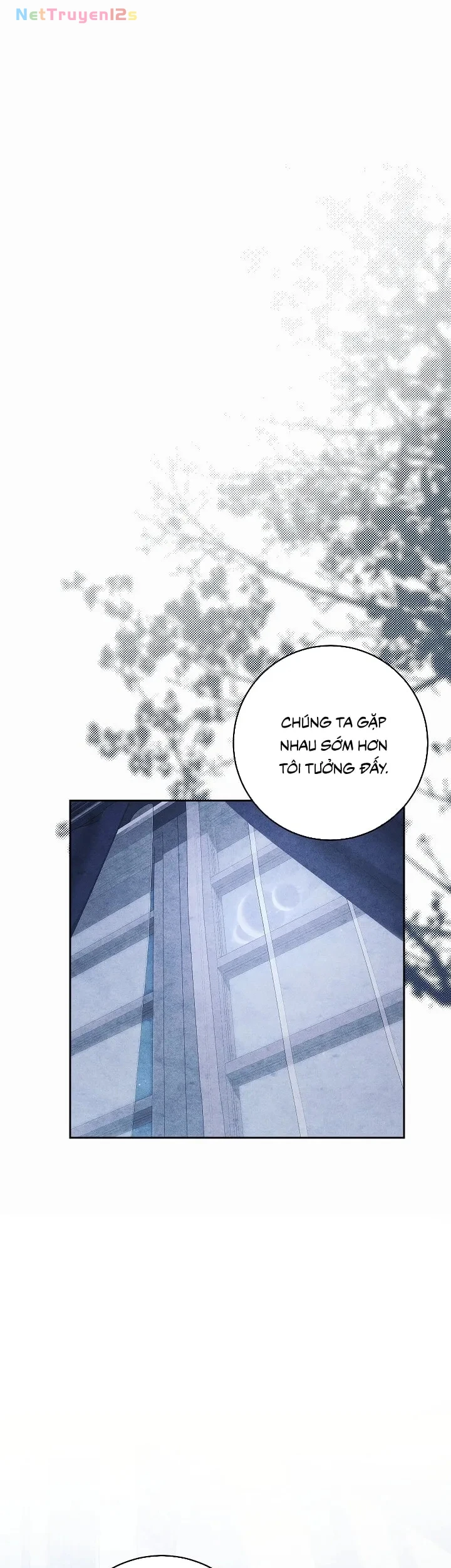 Mộ Thiên Nga Chapter 33 - 1