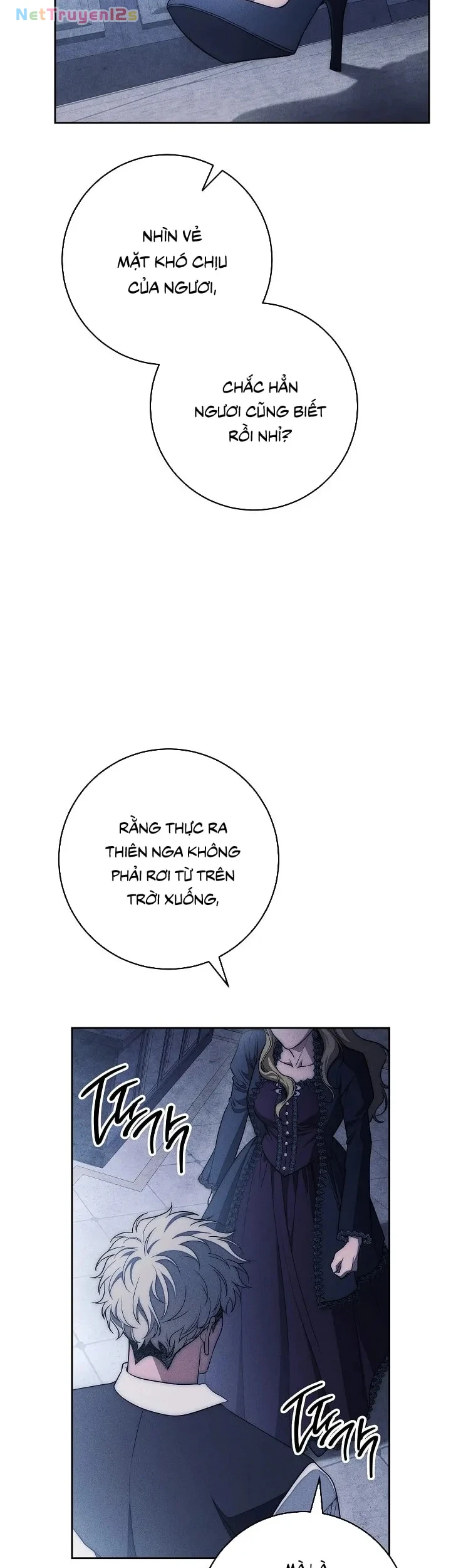 Mộ Thiên Nga Chapter 33 - 11