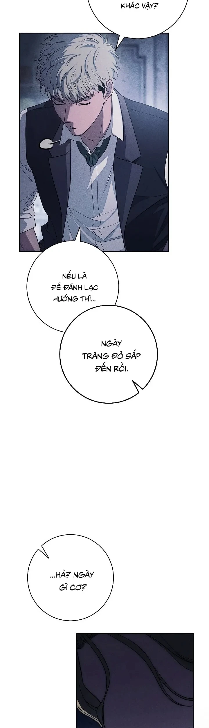 Mộ Thiên Nga Chapter 33 - 23