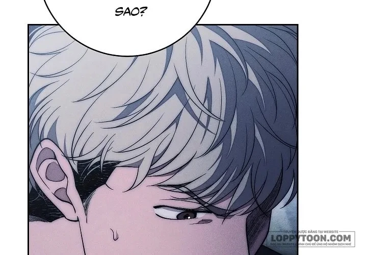 Mộ Thiên Nga Chapter 33 - 33