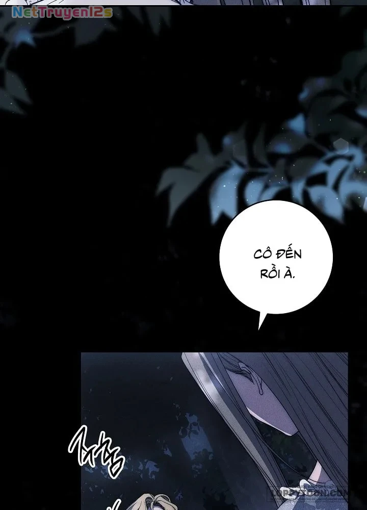 Mộ Thiên Nga Chapter 34 - 43