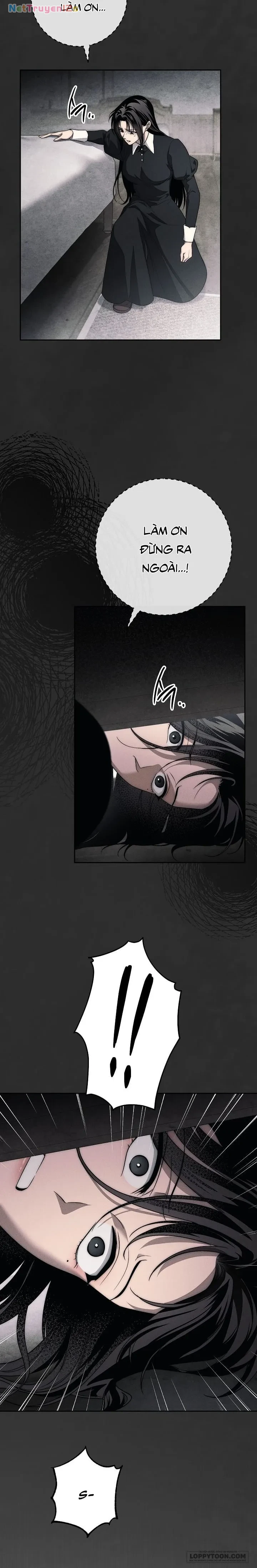 Mộ Thiên Nga Chapter 35 - 63