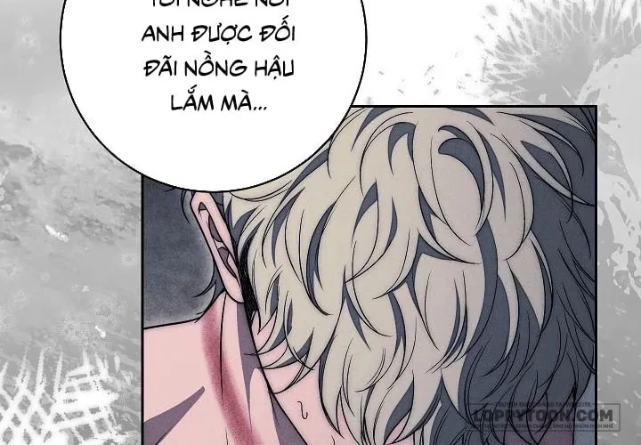 Mộ Thiên Nga Chapter 36 - 6