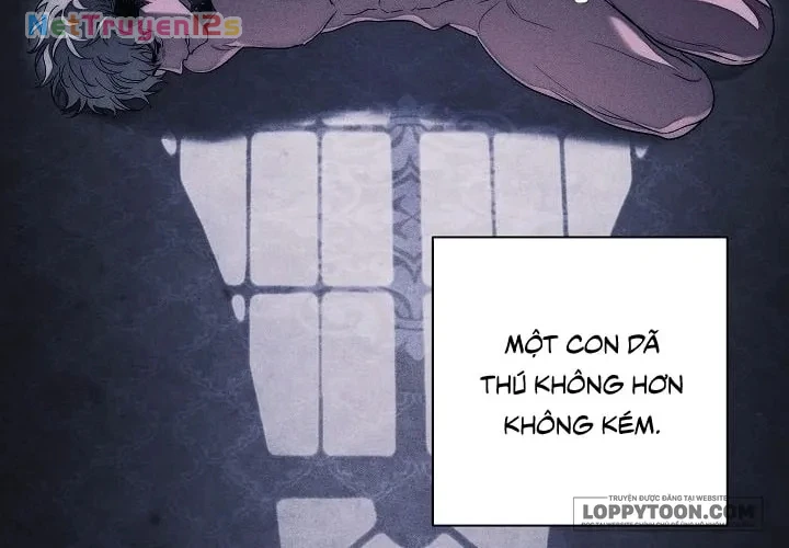 Mộ Thiên Nga Chapter 36 - 12