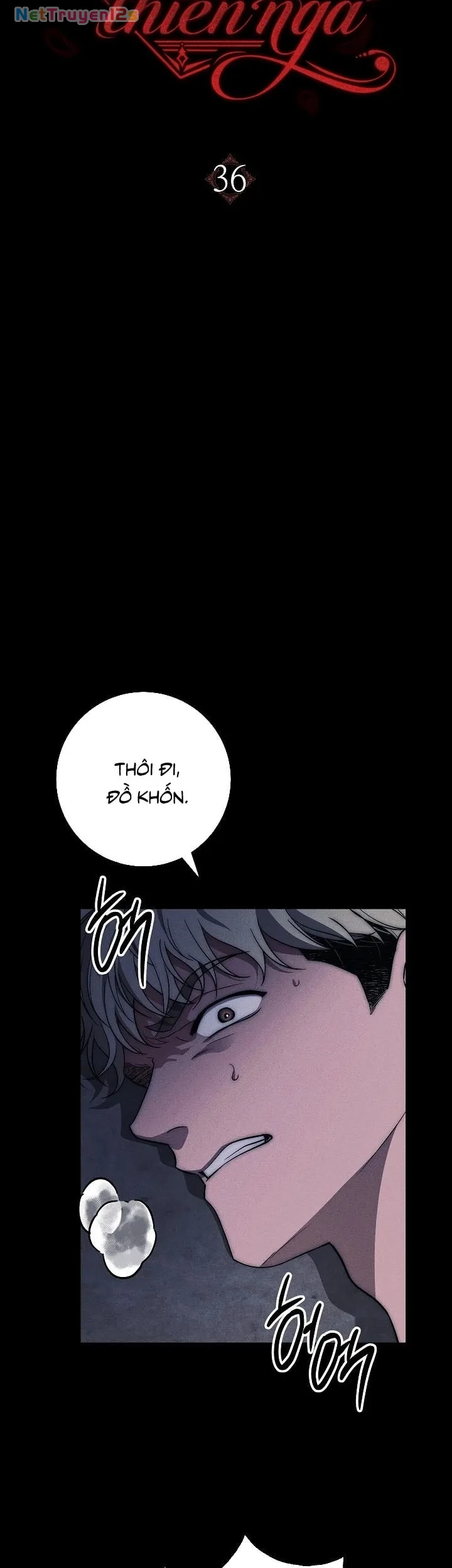 Mộ Thiên Nga Chapter 36 - 14