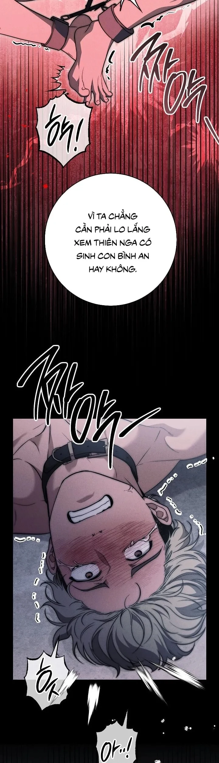 Mộ Thiên Nga Chapter 36 - 40