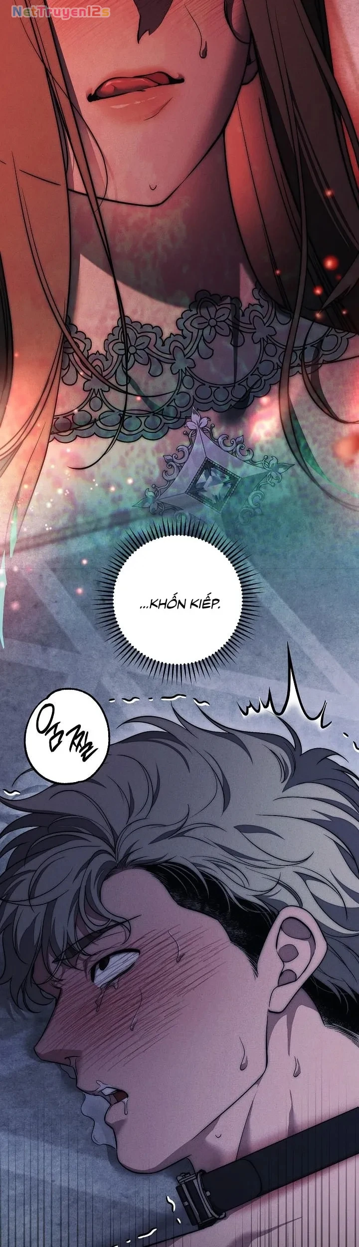 Mộ Thiên Nga Chapter 36 - 52