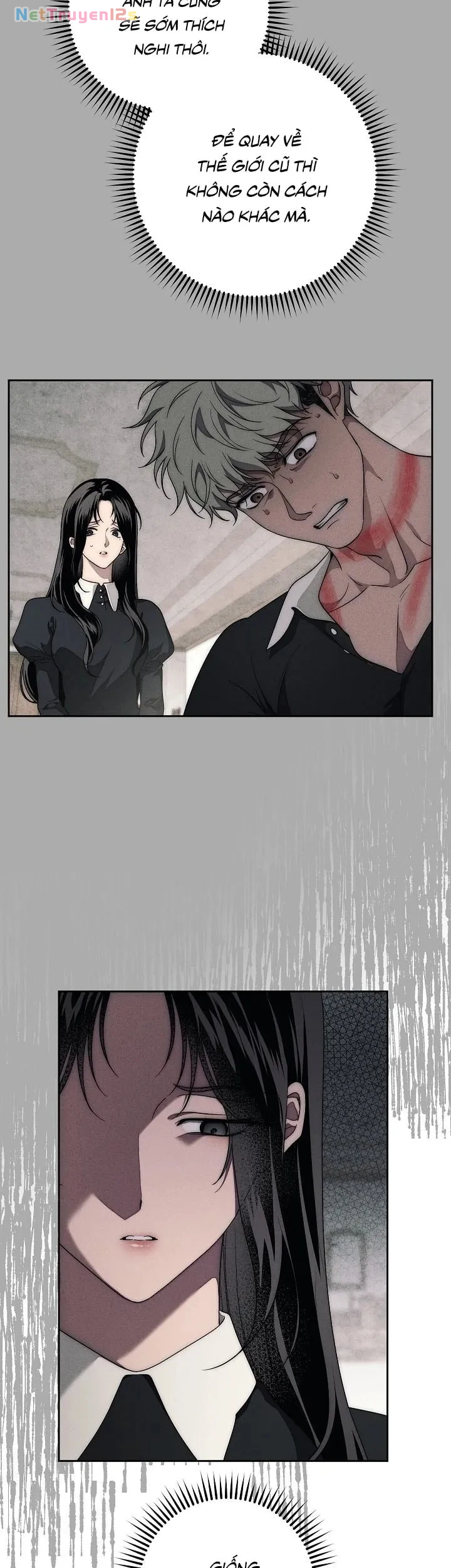 Mộ Thiên Nga Chapter 36 - 56
