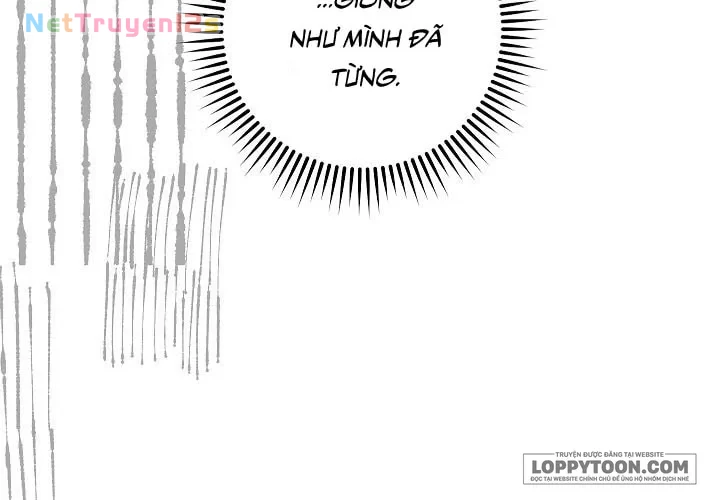 Mộ Thiên Nga Chapter 36 - 57