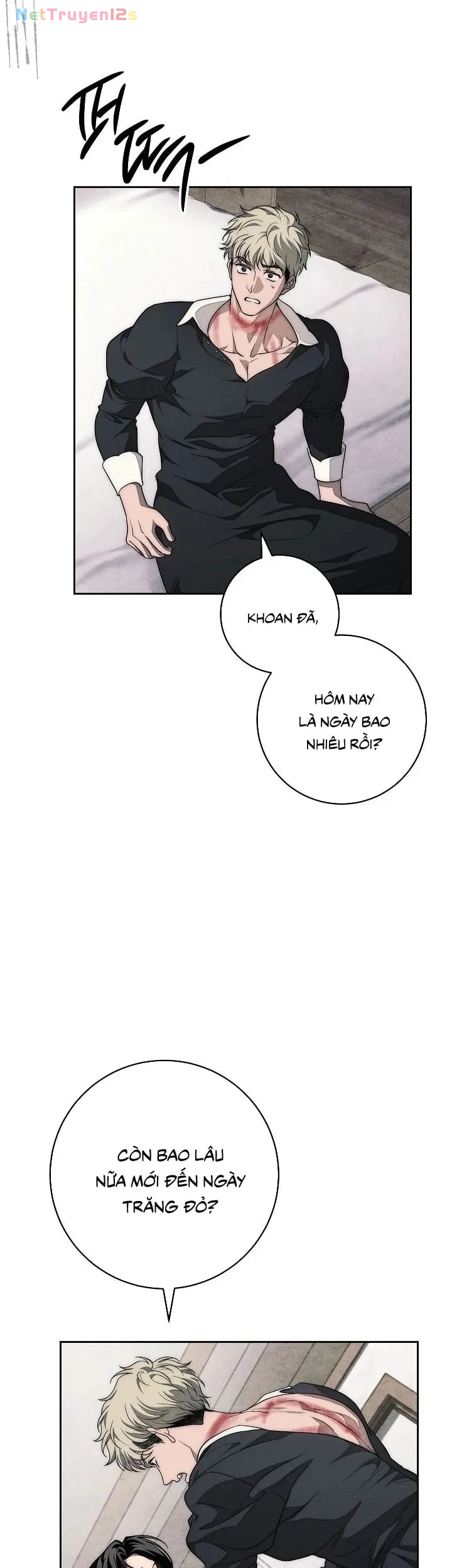 Mộ Thiên Nga Chapter 36 - 58