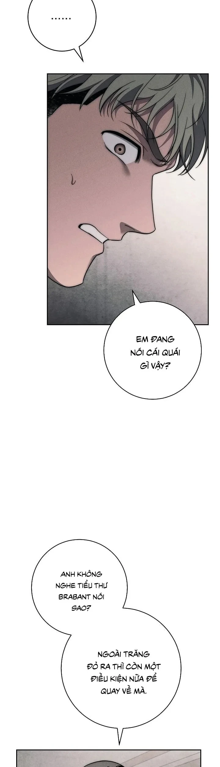 Mộ Thiên Nga Chapter 36 - 64