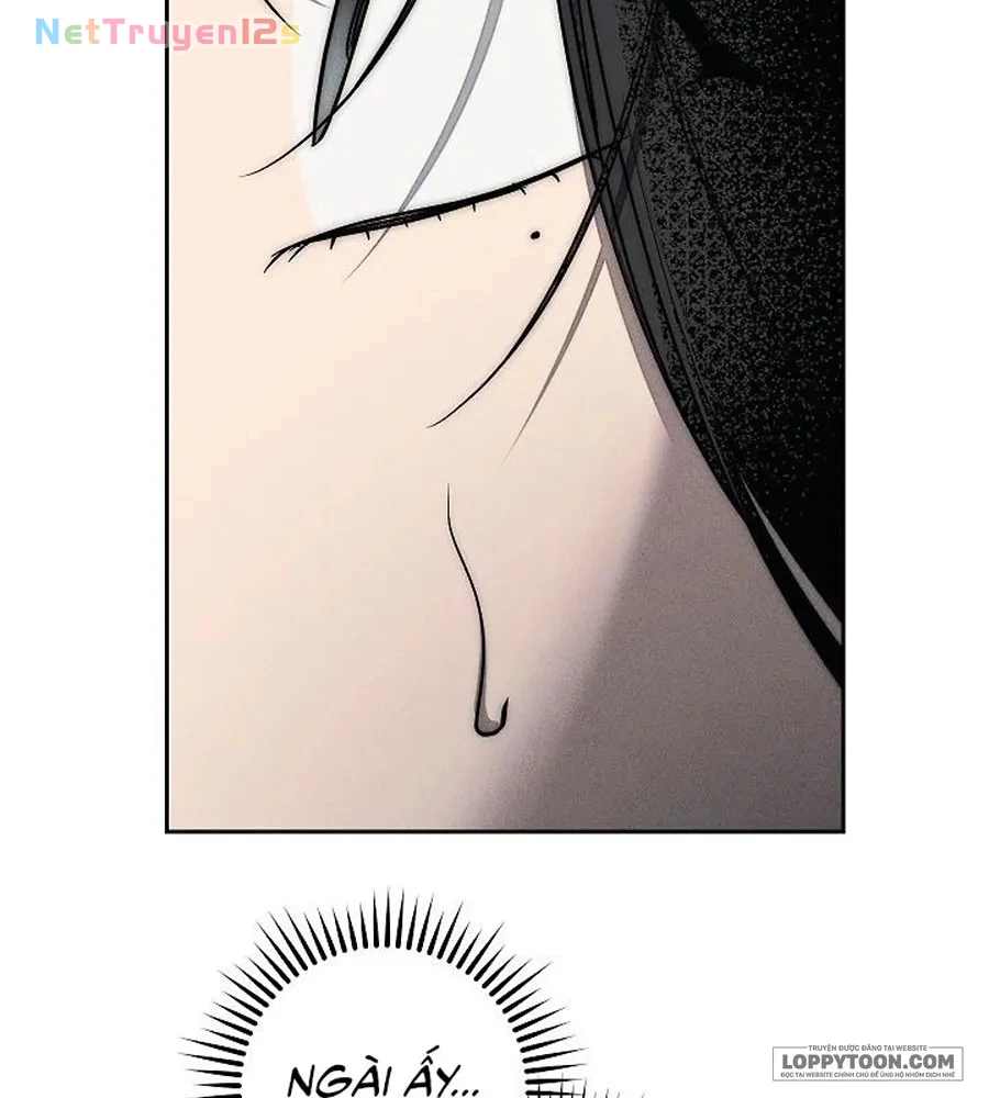 Mộ Thiên Nga Chapter 37 - 15