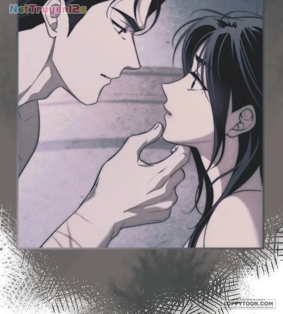 Mộ Thiên Nga Chapter 37 - 28