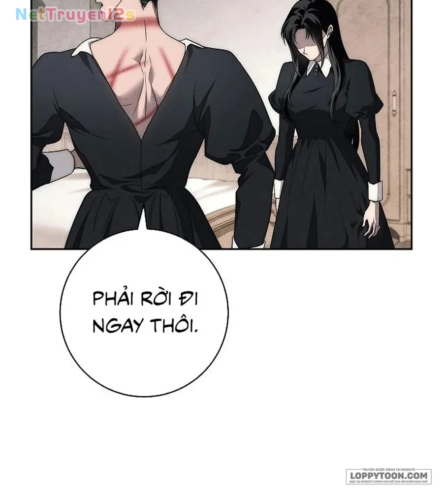 Mộ Thiên Nga Chapter 37 - 31