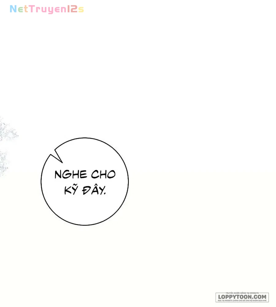 Mộ Thiên Nga Chapter 37 - 41