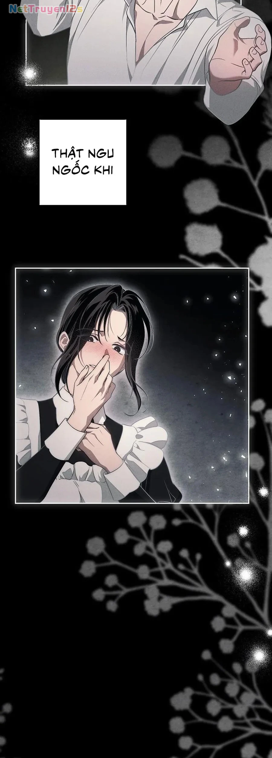 Mộ Thiên Nga Chapter 37 - 55