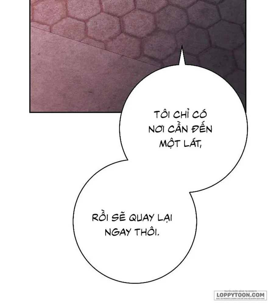 Mộ Thiên Nga Chapter 38 - 18