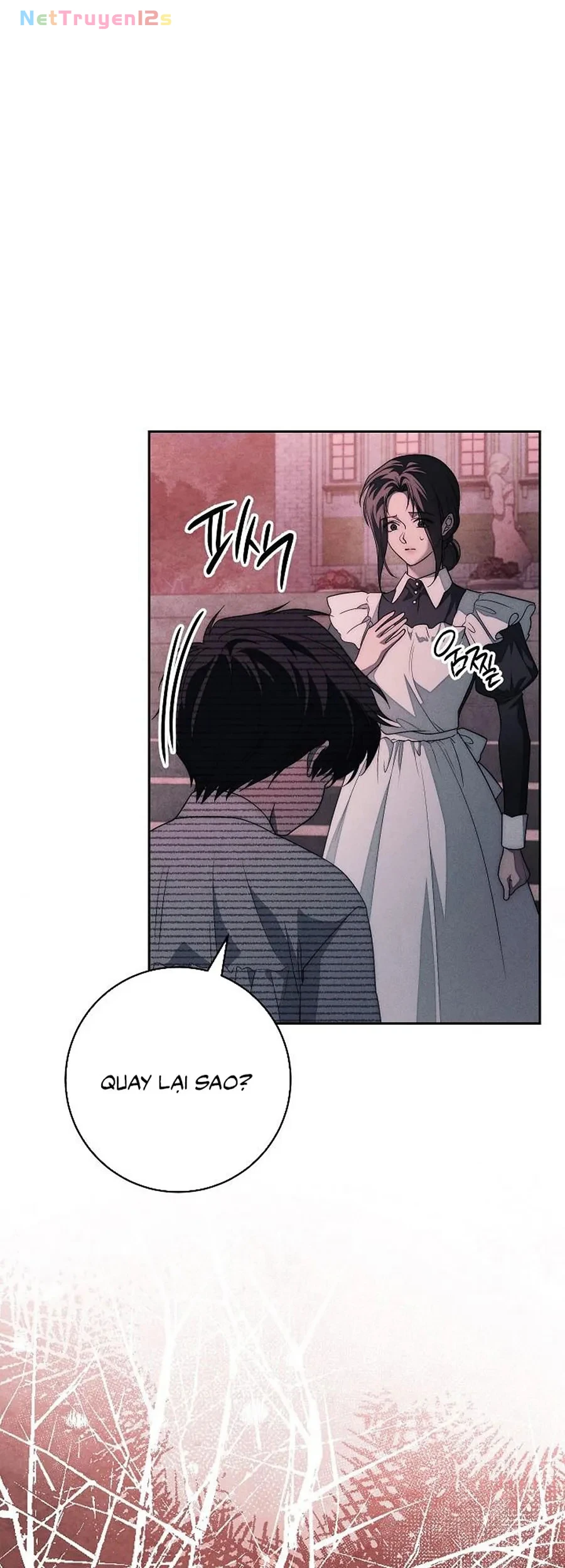 Mộ Thiên Nga Chapter 38 - 19