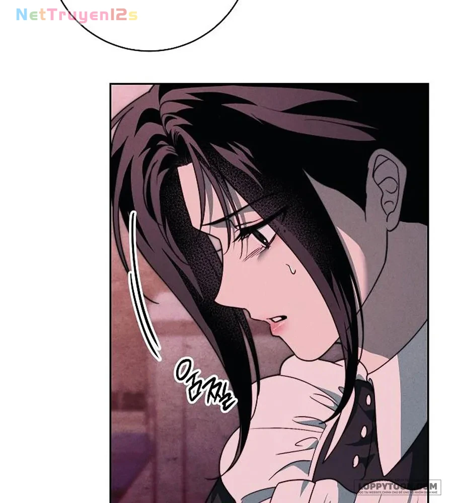 Mộ Thiên Nga Chapter 38 - 24
