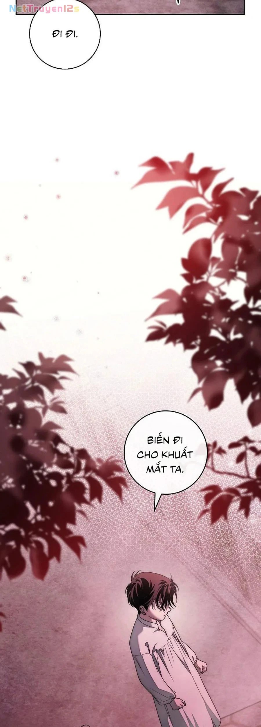 Mộ Thiên Nga Chapter 38 - 45