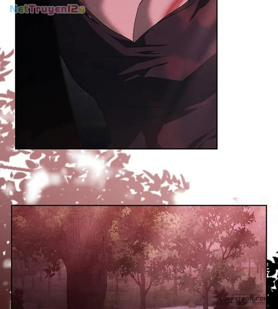 Mộ Thiên Nga Chapter 38 - 62