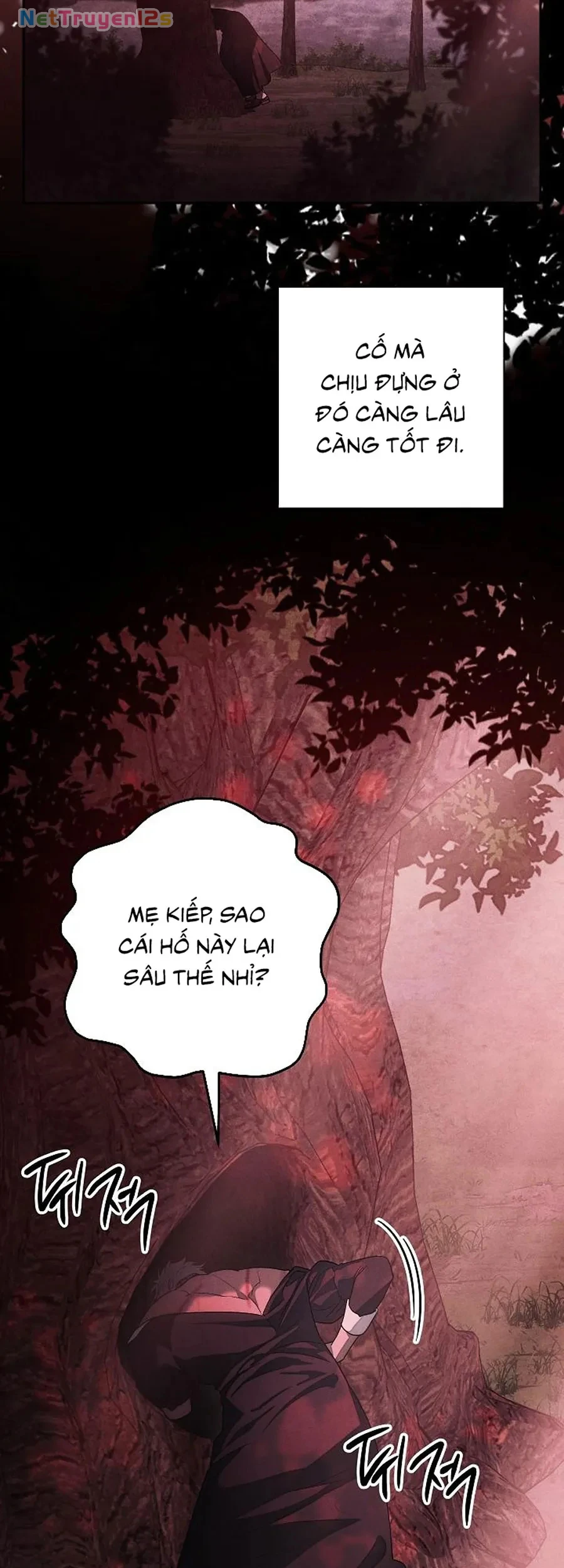 Mộ Thiên Nga Chapter 38 - 63