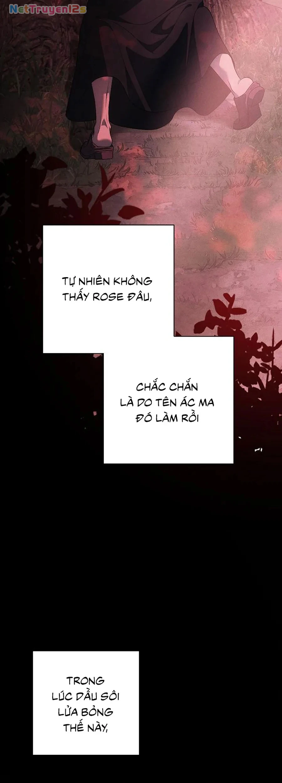 Mộ Thiên Nga Chapter 38 - 64