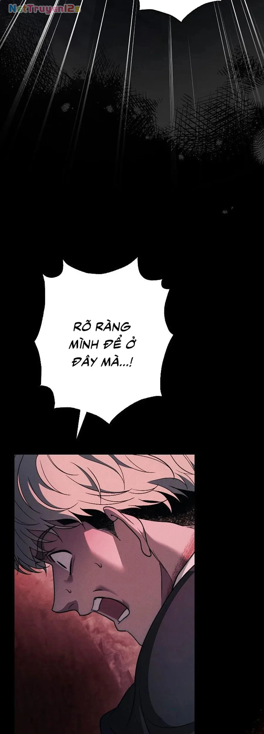 Mộ Thiên Nga Chapter 38 - 75
