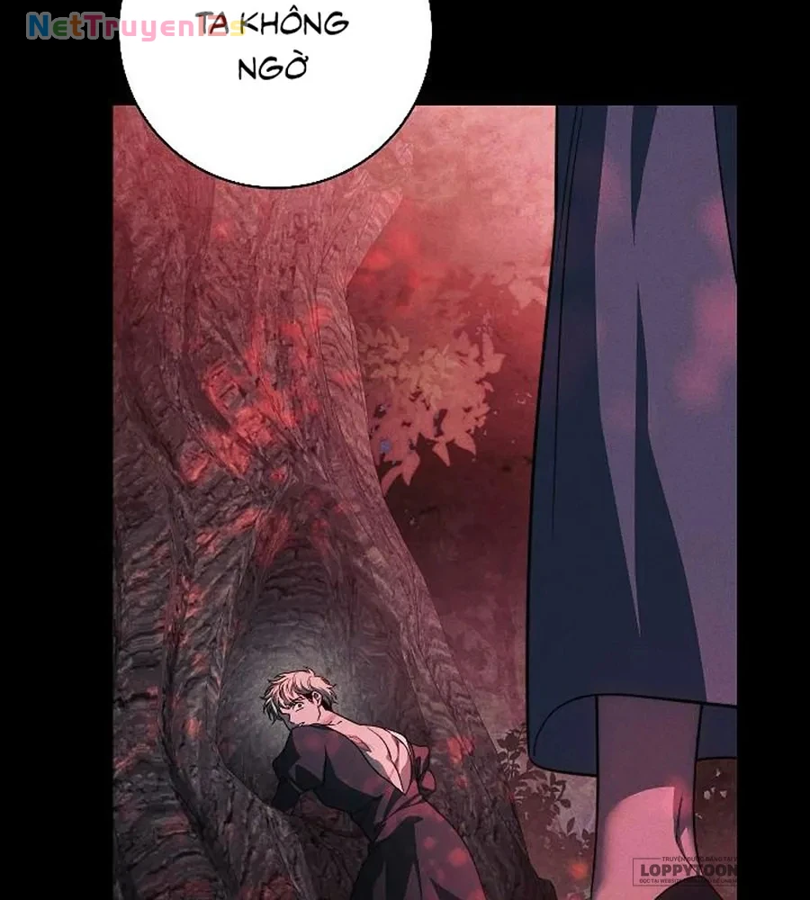 Mộ Thiên Nga Chapter 38 - 77
