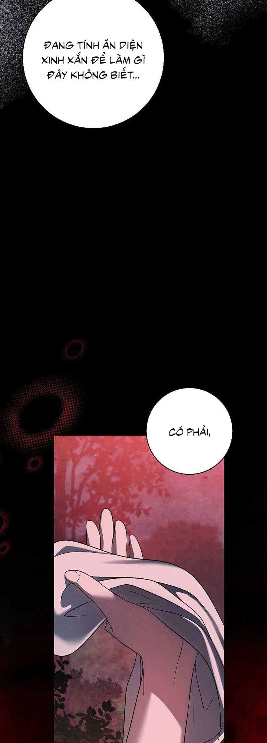 Mộ Thiên Nga Chapter 38 - 79
