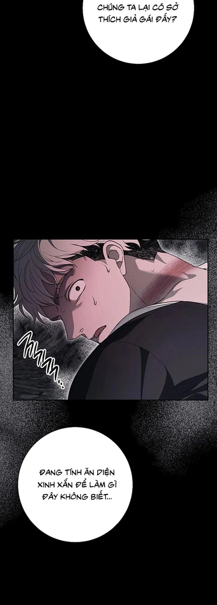 Mộ Thiên Nga Chapter 39 - 4