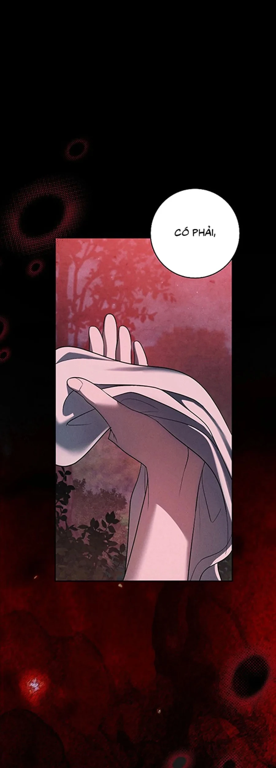 Mộ Thiên Nga Chapter 39 - 5