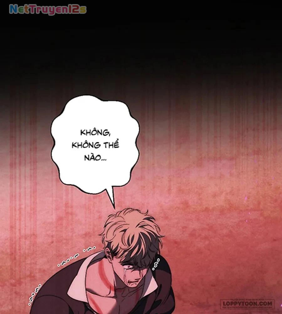 Mộ Thiên Nga Chapter 39 - 19