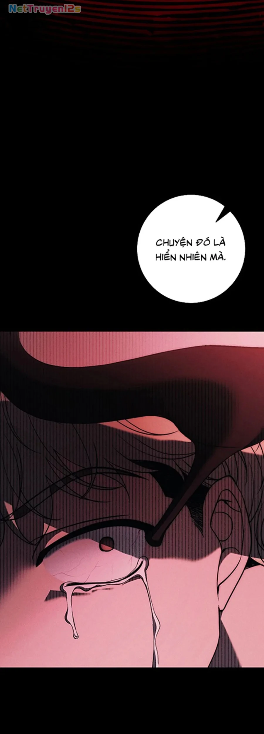 Mộ Thiên Nga Chapter 39 - 34