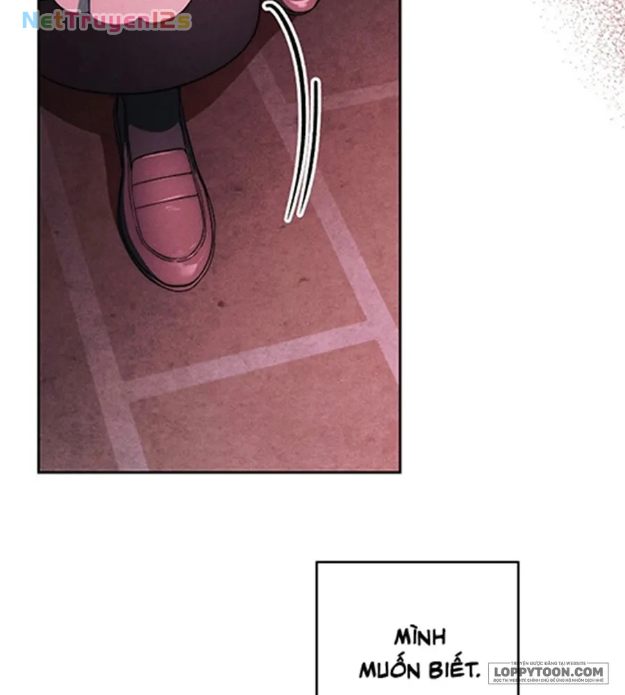 Mộ Thiên Nga Chapter 39 - 42