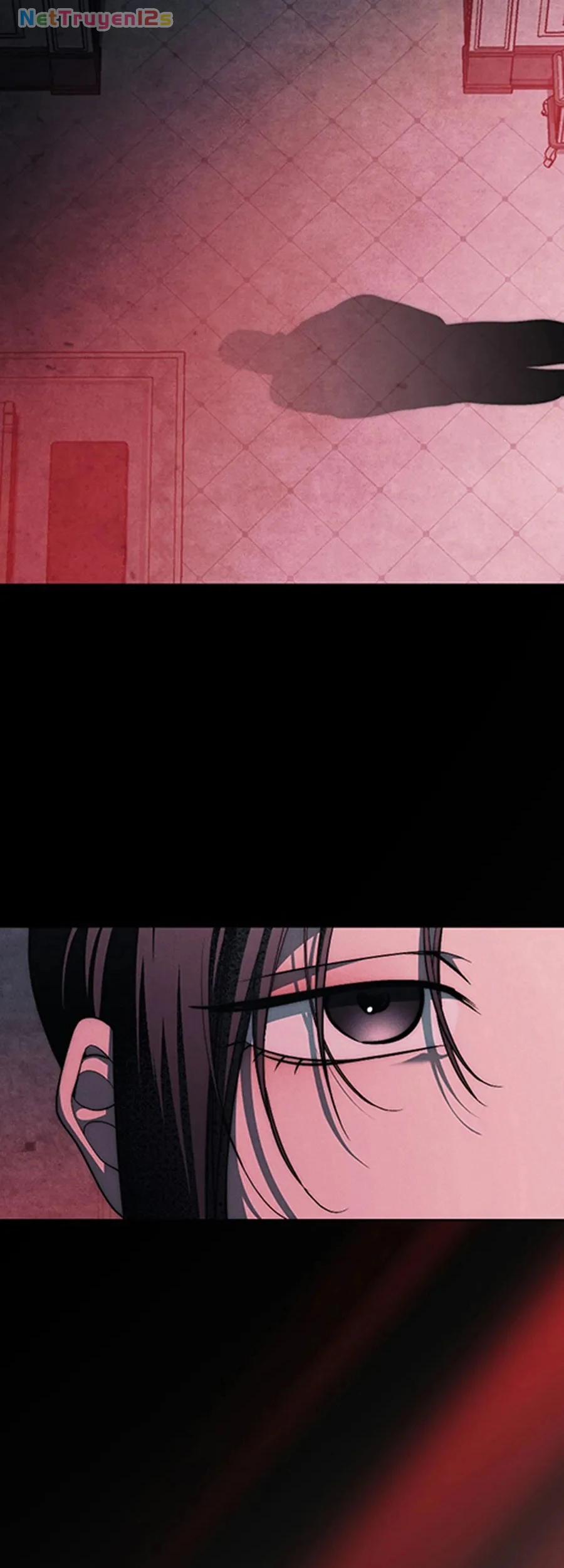 Mộ Thiên Nga Chapter 39 - 50