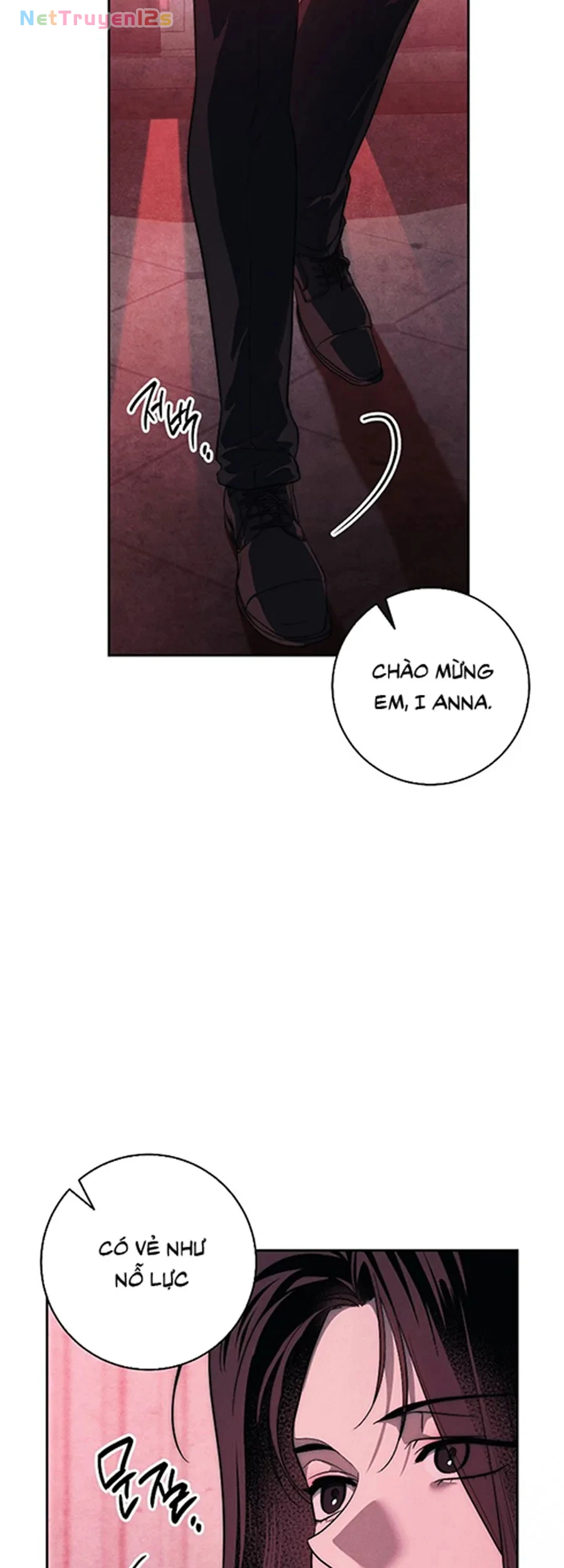 Mộ Thiên Nga Chapter 39 - 56
