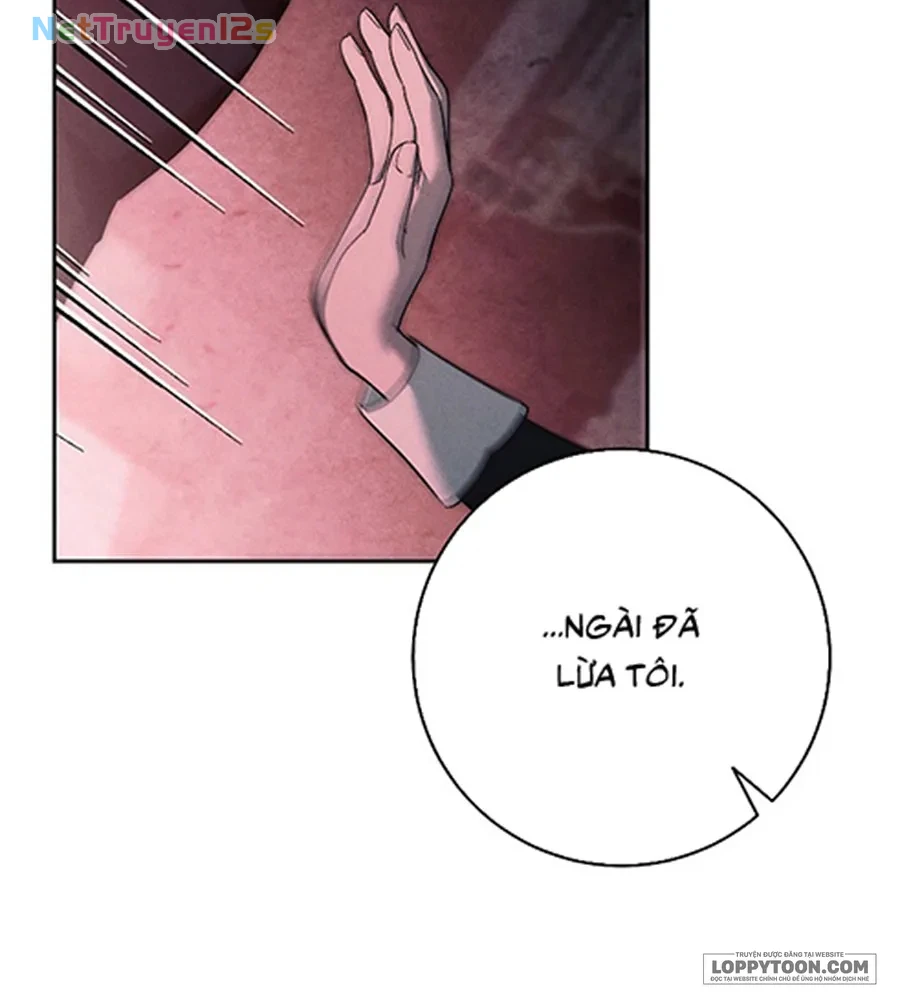 Mộ Thiên Nga Chapter 39 - 61
