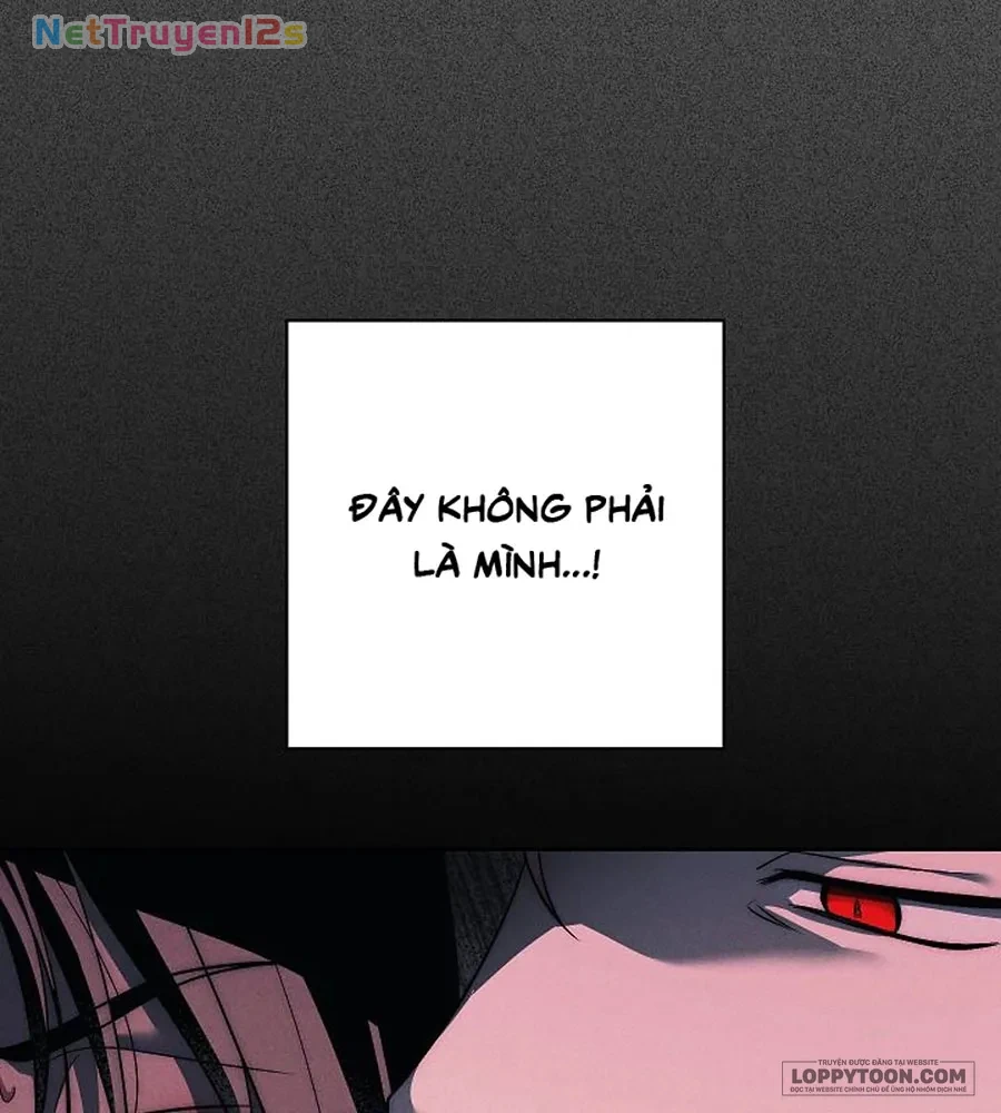 Mộ Thiên Nga Chapter 40 - 6