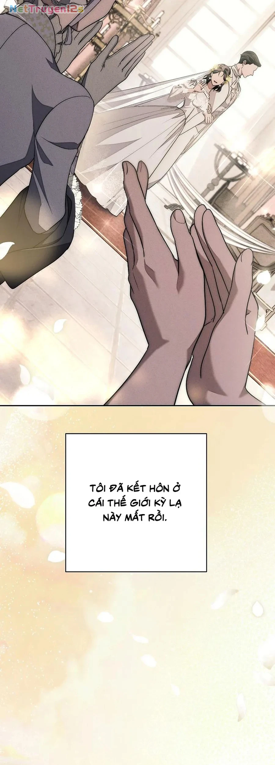 Mộ Thiên Nga Chapter 40 - 62