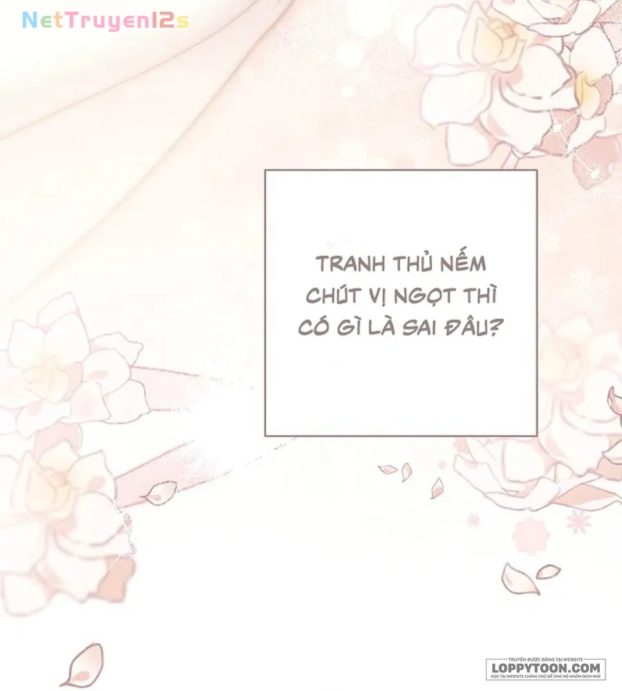 Mộ Thiên Nga Chapter 40 - 92