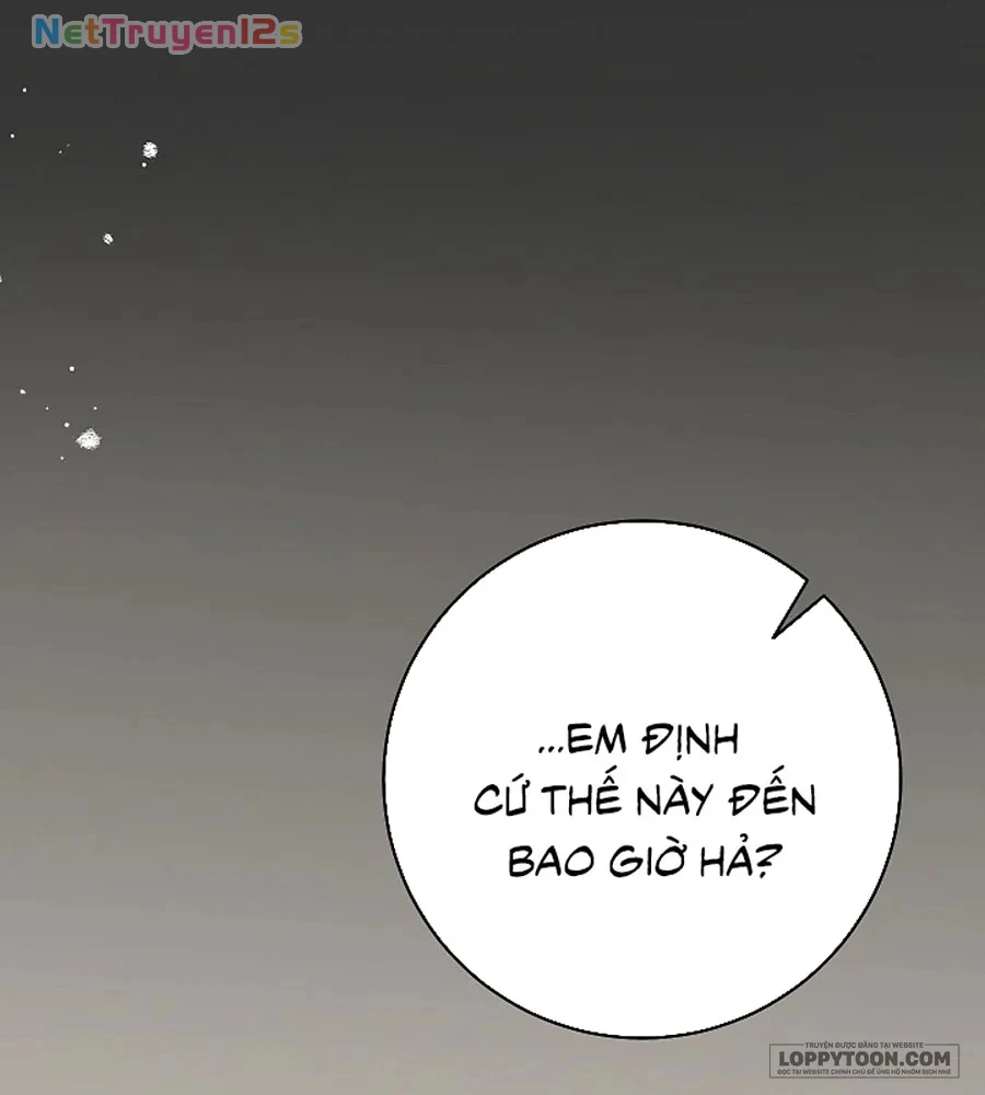 Mộ Thiên Nga Chapter 41 - 12