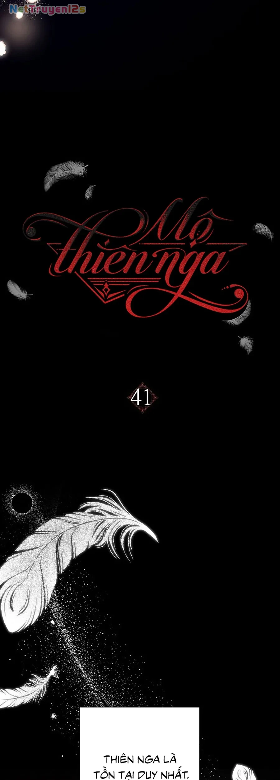 Mộ Thiên Nga Chapter 41 - 30