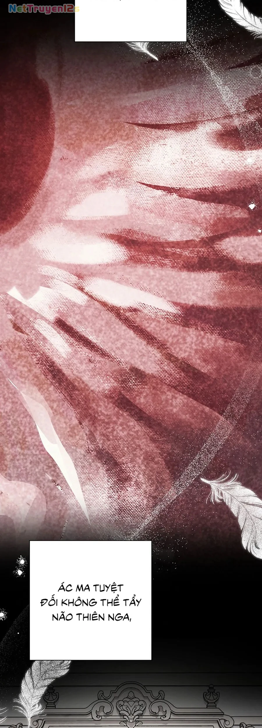 Mộ Thiên Nga Chapter 41 - 31